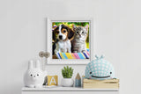 Diamantni mozaik - Pes in mačka